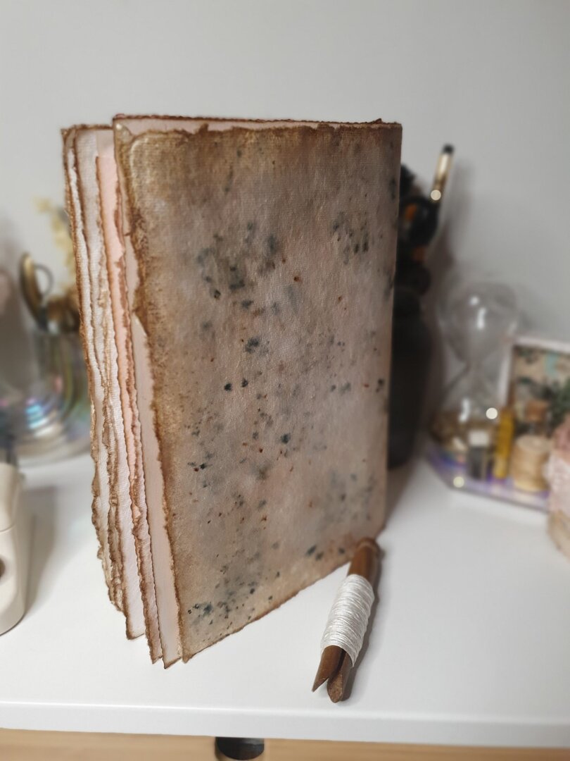 Journal «Le Mercerie»